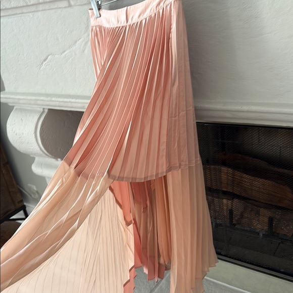 Pink Pleated Maxi Skirt - Picture 5 of 6